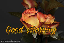 Seeing goodness in others is the projection of your own personality. Good Morning Hd Images Download Bengali Free Download Bangla Good Morning 1600x1067 Wallpaper Teahub Io