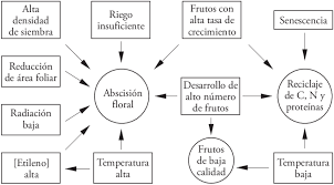 Los ejemplos de componentes bióticos incluyen animales, plantas, hongos y bacterias. Interacciones Entre Los Factores Bioticos Y Abioticos Involucrados En Download Scientific Diagram
