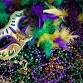 Beads and Deeds Mardi Gras Real Estate Social