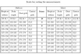 measurement table indianculture co