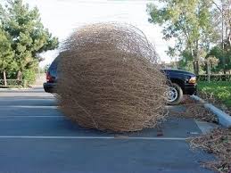 The president broke the tumbleweed moment by declaring war on france. Northeast El Paso Tx Only In Texas New Mexico Usa Southern New Mexico