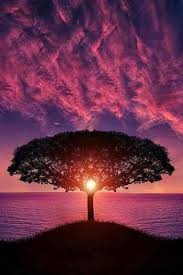 We did not find results for: Beautiful Sunrise Steemit