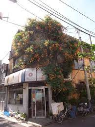 通勤の楽しみ 路地裏園芸観察学会 風景 都市景観 綺麗 景色