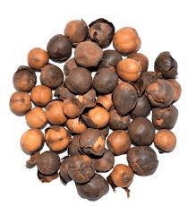 Image result for Scorodophloeus zenkeri