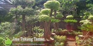 Manfaat Dan Pentingnya Fungsi Taman Yang Harus Kamu Tahu