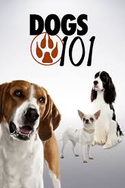 Check spelling or type a new query. Dogs 101 Where To Watch And Stream Tv Guide