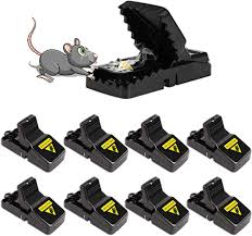 The leader in rodent control, victor® offers the best mouse, rat, mole and gopher control solutions, including electronic and live traps, repellents, baits and more. Acmind Mouse Trap Set Of 8 Professional Mouse Trap Rat Trap Snap Trap Reusable In The Kitchen And Garden 8 Pack Amazon De Garden