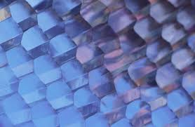 If the preprocessor matches, it will attempt to combine them before processing. Honeycomb Structure Wikipedia