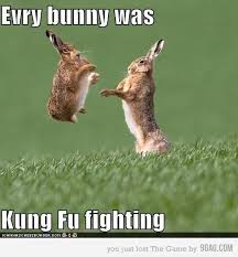 Kung Fu Fighting Animal Captions Cute Funny Animals Funny Animal Pictures