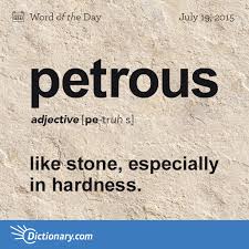 Petrous Word Of The Day Dictionary Com Weird Words Uncommon Words Unusual Words