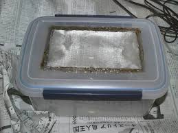 幻想熱帯雨林／ハニーワーム