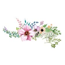 Freetoeditflowers Stickers Transparent Aesthetic Cute Filter Flower Garden Plants Rose Flo Pink Watercolor Flower Flower Painting Watercolor Flowers