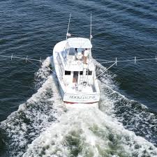 Check spelling or type a new query. Hooked Up Sportfishing Captain Taco Home Facebook