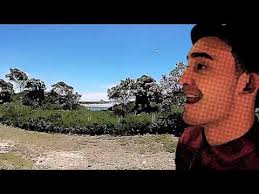 Sons Of Zion Ft Pieter T Be My Lady Reggae Music Videos Reggae Music Music Is Life