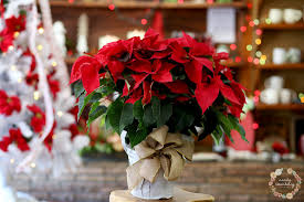 Edmond okc metro and yukon ok zip code map. Madeline S Flowers Flowersmadeline Twitter