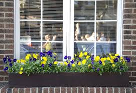 For custom arrangements or window boxes shipped with faux flowers installed please. 40 Window And Balcony Flower Box Ideas Photos Home Stratosphere