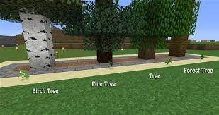 The farms return enough saplings to sustain growth of the trees! How To Build A Tree Farm In Minecraft For Easy Access To All Types Of Wood Minecraft Wonderhowto