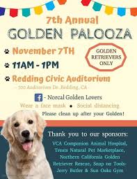 Maybe you would like to learn more about one of these? Norcal Golden Retriever Rescue Posts Facebook