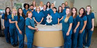 Cottage pet hospital is proud to serve orange county for all your pet needs. West Hollywood Animal Hospital