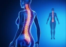 Cancer Et Tumeur De La Moelle Epiniere Causes Symptomes Pronostic