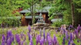 Touching the Earth Nature Retreat with Susie Harrington