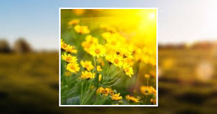 Mary Margaret Bayless Obituary June 16, 2021