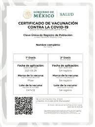 ¿qué son los certificados de vacunación covid? 7wfqadpobahzim