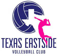 Volleyball Logo Club Logo Texas Sports Logo Athletic Club Logo Girls Team Logo Volleyball Volleyball Logo Sports Logo Volleyball Texas Sports