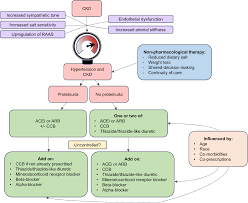 management of hypertension in chronic kidney disease