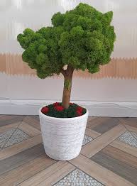 Maybe you would like to learn more about one of these? Å£ese A Iesi In Evidenta BÄuturÄ Licheni Decorativi Cu Adeziv Sau Silicon Lmvdesigns Com