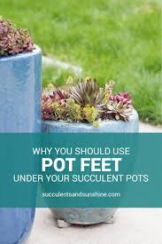 Fill your cart with color today! Use Pot Feet For Succulent Container Gardens Succulents And Sunshine