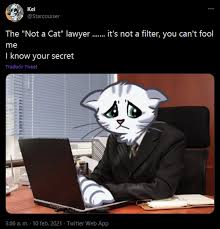 'i'm not a cat!' a texas lawyer's technical snafu during a court hearing conducted on zoom has led to a lot of catty. Yig10nf6vnqtxm