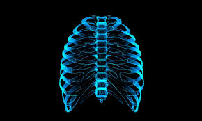 17 free images of rib cage. 3d Printed Prosthetics Recreating A Rib Cage