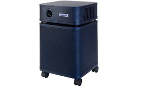 While my sense of odor isn't really anything like a dog's. How To Remove Dog Smells From Your Home A Pet Lover S Guide Realtor Com