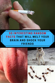 Pin On All That Is Interesting