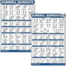 Dumbbell Exercise Poster Vol 2 Laminated Workout Strength