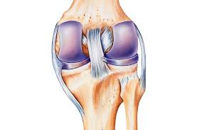 Medial collateral ligament injury of the knee (mcl tear) are the most common ligament injuries of the knee and are frequently associated with acl tears. Medial Collateral Ligament Injury Mcl Injury Symptoms And Causes