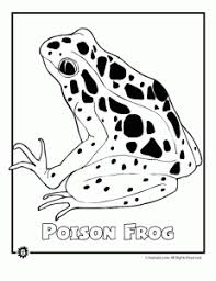 Endangered Blue Poison Dart Frog Animal Coloring Page Endangered Rainforest Animals Rainforest Animals Endangered Animals