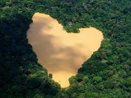 The amazon rainforest is now emitting more carbon dioxide than it is able to absorb, scientists have confirmed for the first time. Beautiful Photos Of Life In The Amazon Rainforest