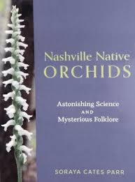 Image result for Goodyera afzelii