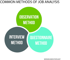 Job Analysis Definitions Methods Process Importance Of