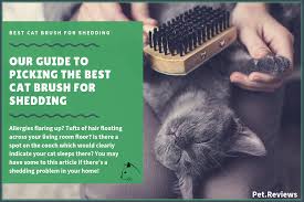 Outdoor cats tend to shed more in spring and an allergic cat has itchy skin and he will groom himself excessively, chewing and scratching the hot spots. 7 Best Cat Shedding Brushes With Our 2021 Budget Friendly Pick