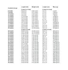 51 meticulous proper weight gain during pregnancy chart