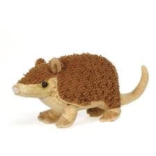 Small Plush Armadillo Lil Buddies Fiesta In 2020 Small Stuffed Animals Armadillo Animals