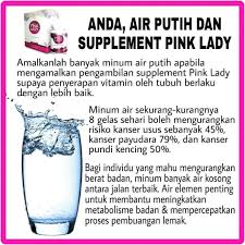 Benarkah minum air setelah makan bisa bikin pencernaan sakit? Kebaikan Dan Kelebihan Minum Air Masak Putih Kosong Minuman Pink Lady Tubuh