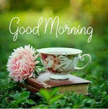 Best Good Morning Images (@bestgoodmorning) • Instagram photos and videos