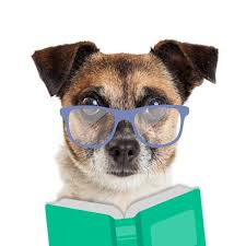 When a dog makes hiccup noises while sleeping, it's due to involuntary contractions of the diaphragm. Why Is My Dog Throwing Up In The Morning