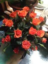 Hoa Hồng Tỷ Muội Composizioni Floreali Floreale