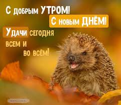 прикольные картинки с пожеланием доброго утра и хорошего дня Osennie Kartinki S Dobrym Utrom Krasivye I Prikolnye Dobroe Utro Utrennie Citaty Otkrytki
