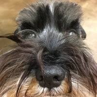 We did not find results for: South Park Animal Hospital 4 Tips From 161 Visitors